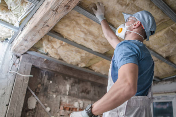 Best Insulation Maintenance and Repair in Collierville, CA