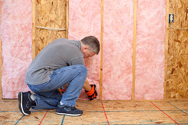 Best Commercial Insulation in Collierville, CA